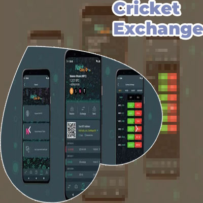 Sky247 exchange
